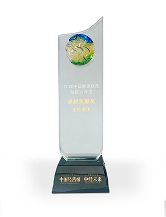 2020 China Energy Green Innovation Awards “Outstanding Contribution Award”