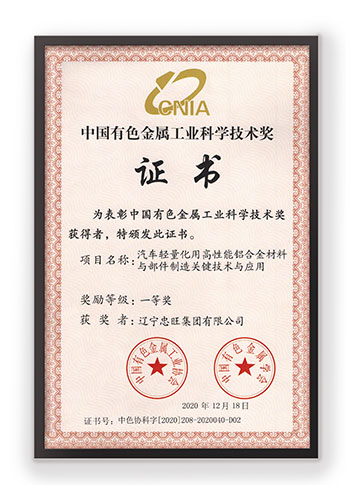 First Prize in the China Nonferrous Metals Industry Science and Technology Award 2020
